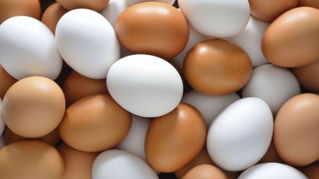 ¡Cuidado!: detectan en La Plata huevos no aptos para el consumo humano