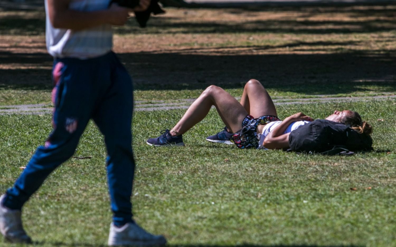 El arbolito de Navidad se arma con sol y viene una seguidilla de días calurosos
