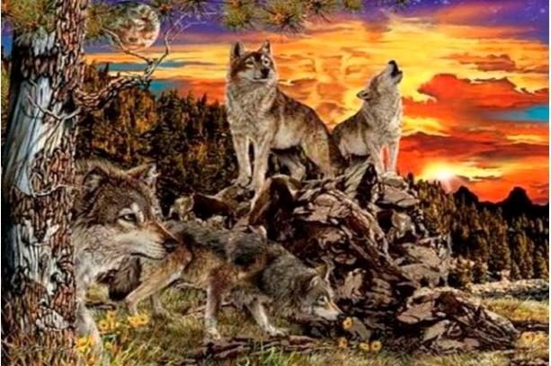 Reto viral: dime cuántos lobos ves y te diré los rasgos ocultos de personalidad que tienes