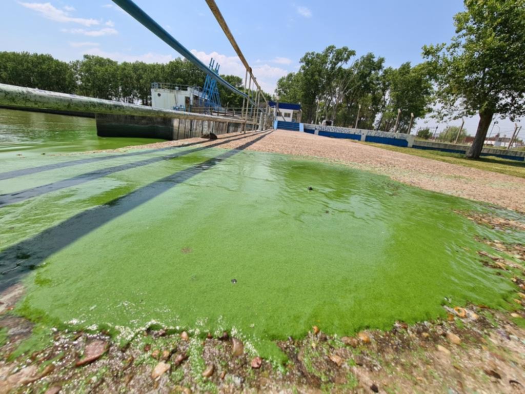 Advierten que será un “verano complicado” por la inusual presencia de cianobacterias