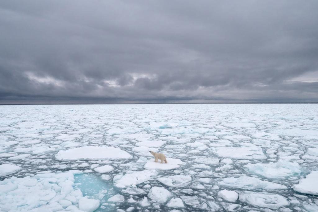 El inminente adiós a los hielos del Ártico