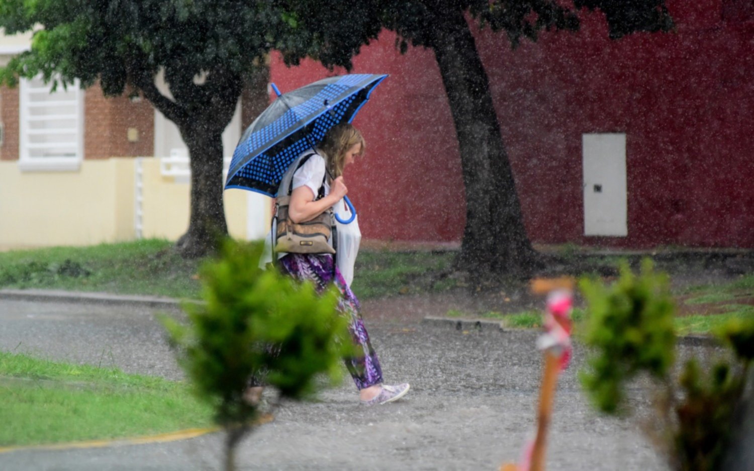 El domingo arrancó con lluvia y bajó la temperatura: se espera cielo gris y chaparrones