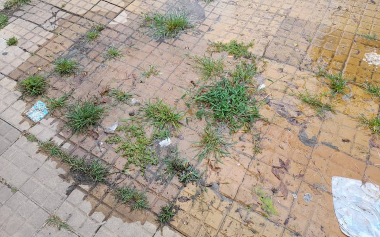 Denuncian una "pérdida desmedida" de agua en 16 y 50