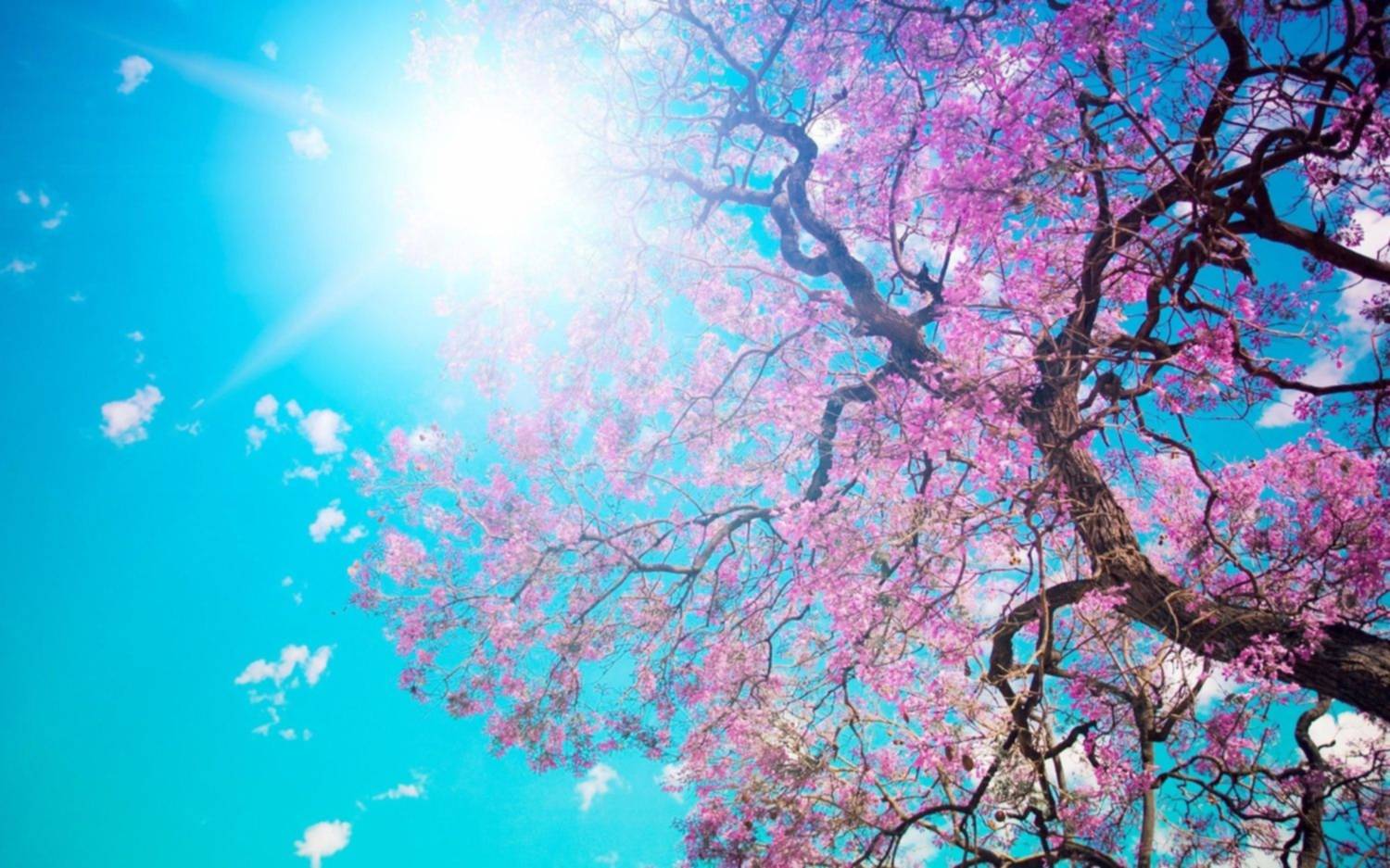 Lunes con cielo despejado
