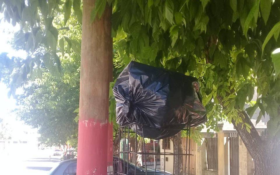 Problemas con la recolección de basura en 17 entre 524 y 525