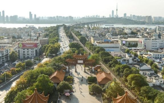 La OMS viajará a China para investigar el origen del coronavirus