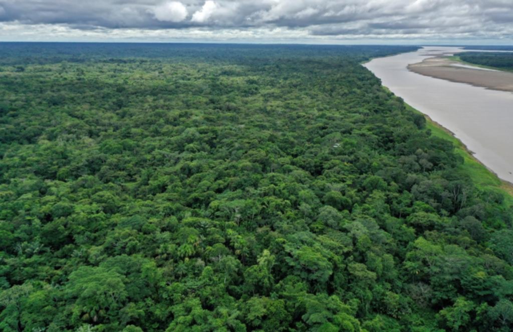 El 2020 fue otro año negro para el medio ambiente en Latinoamérica