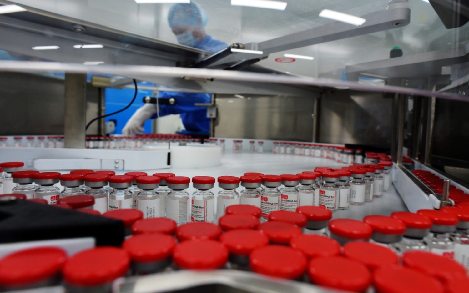 Coronavirus: el gobierno de Rusia asegura que la próxima semana vacunará a mayores de 60 años