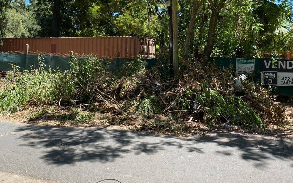 Reclamo por la formación de montañas de basura en City Bell
