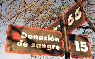 Hemoterapia: "Todos los días necesitamos donantes de sangre"