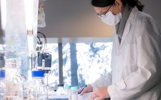 ANMAT aprobó el suero equino hiperinmune como tratamiento del coronavirus moderado y severo