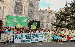 Cannabis medicinal: Marchan en La Plata para pedir "no más presos por plantar"