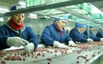 La actividad económica bajó 7,4% interanual en octubre y creció 1,9% frente a septiembre