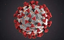 Sudáfrica afirma que la cepa local del coronavirus no es más peligrosa que la hallada en Reino Unido
