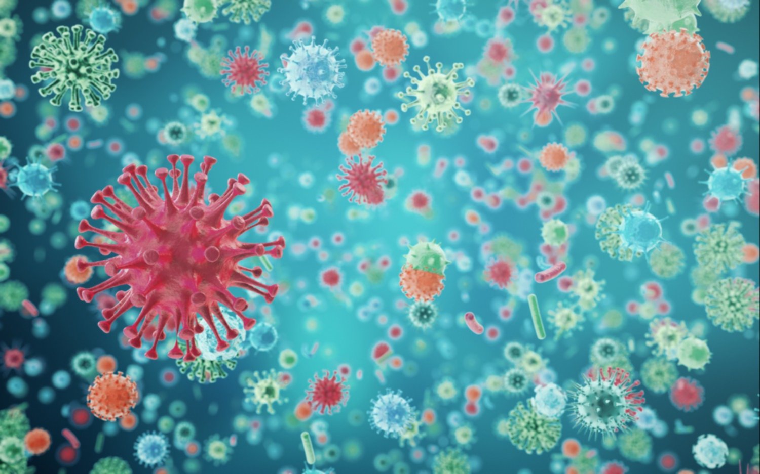 “Ocho países de la región europea identificaron la nueva variante de coronavirus", afirmó la OMS