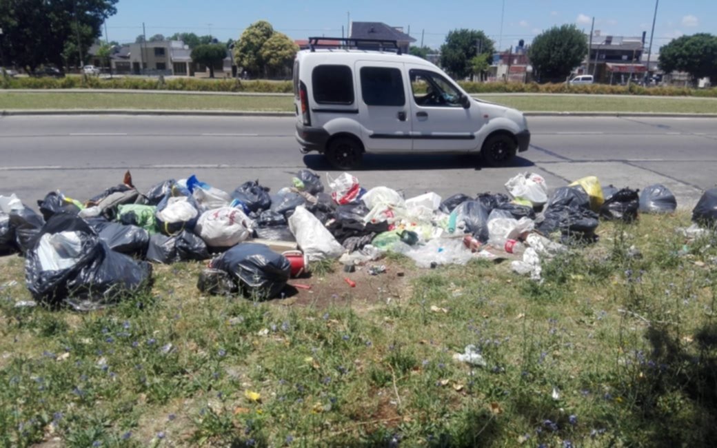 A pocos metros del hospital San Martín, quejas de vecinos por un basural