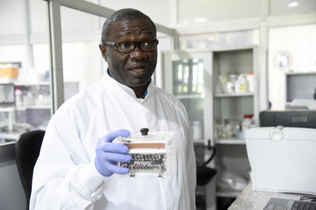 Prudencia ante la nueva cepa detectada en Nigeria