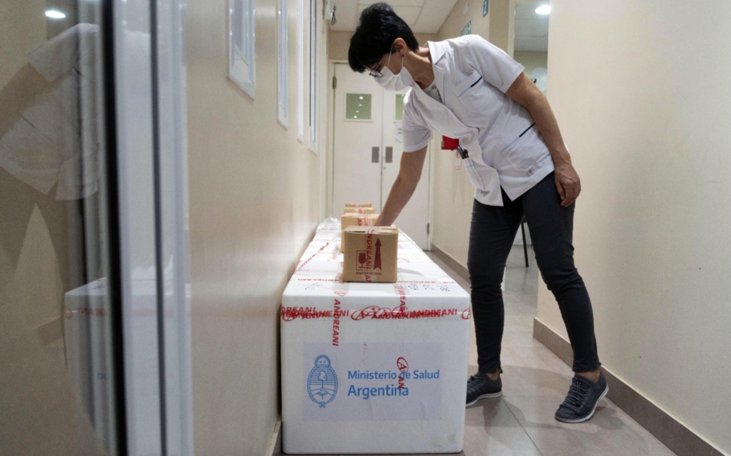 Se completó la distribución de las primeras 300 mil dosis de la Sputnik V en todas las provincias