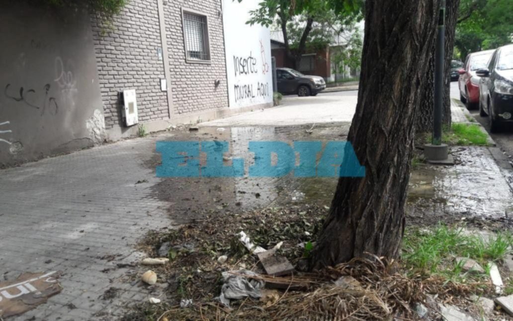 Una pérdida de agua en 59 y 16 que "cada vez es más caudalosa" 