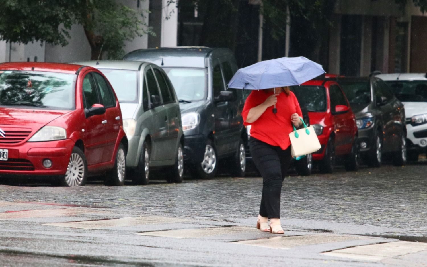 Alerta en La Plata por fuertes tormentas y caída de granizo