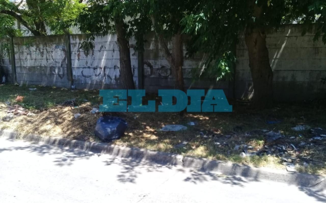 Denuncian que por una acumulación de basura aumentó la presencia de ratas y alacranes