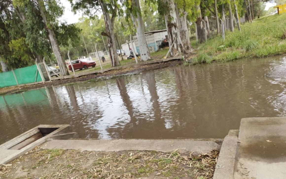 Los Hornos bajo agua: una laguna, reclamos y vecinos preocupados