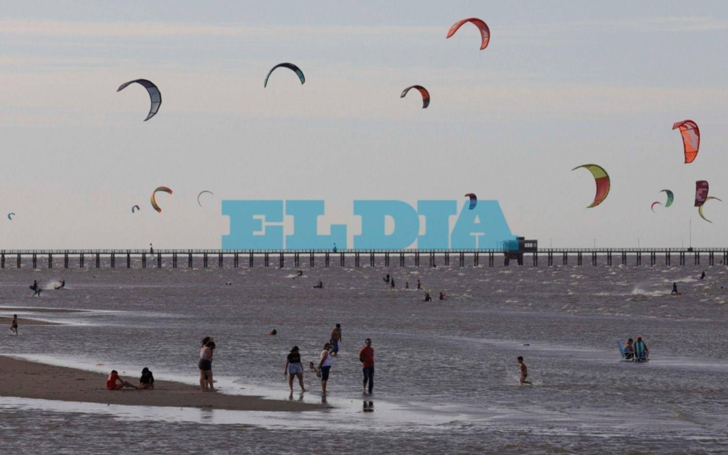 Alerta en La Plata por el regreso de las cianobacterias al Río de La Plata