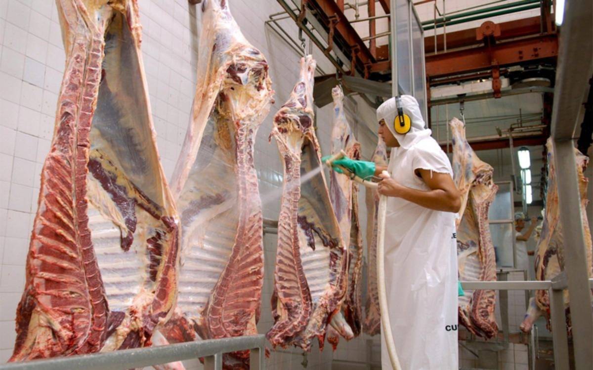 El Gobierno anunció una flexibilización del cepo a la carne