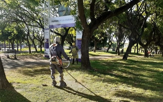 Operativo de recolección de ramas y montículos