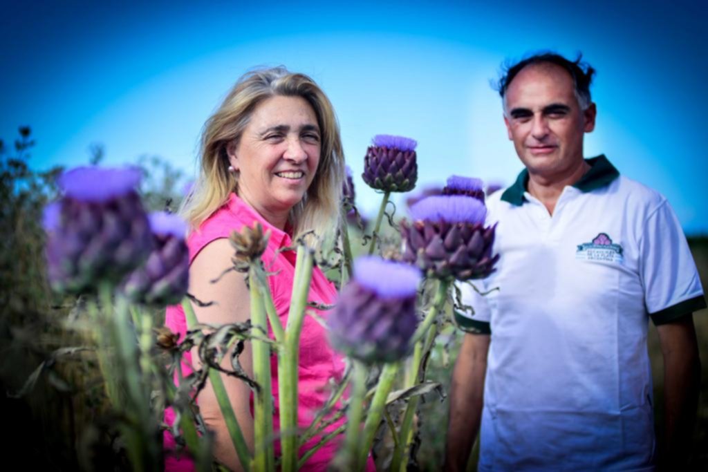 Las flores y el “baby”: nuevos productos del alcaucil platense