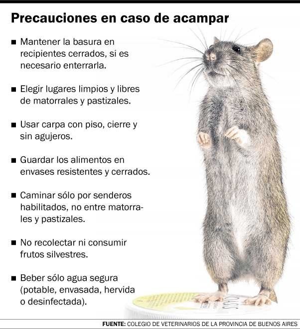 Tras el caso fatal, los veterinarios buscan evitar focos de hantavirus
