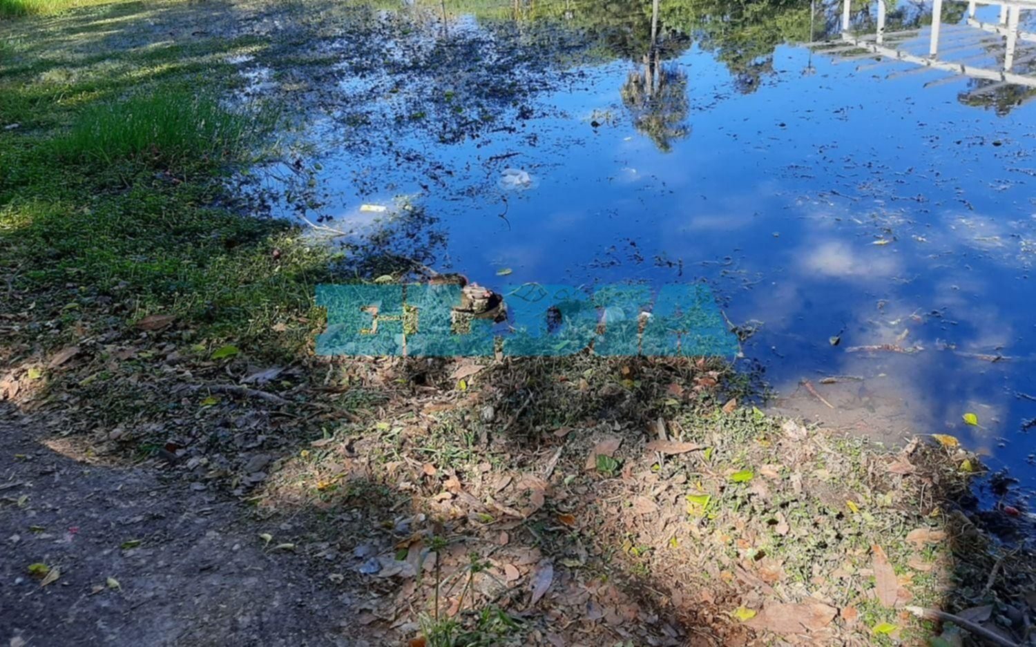 Preocupante advertencia por la laguna del Parque Saavedra: "Se está secando, no va a quedar nada"