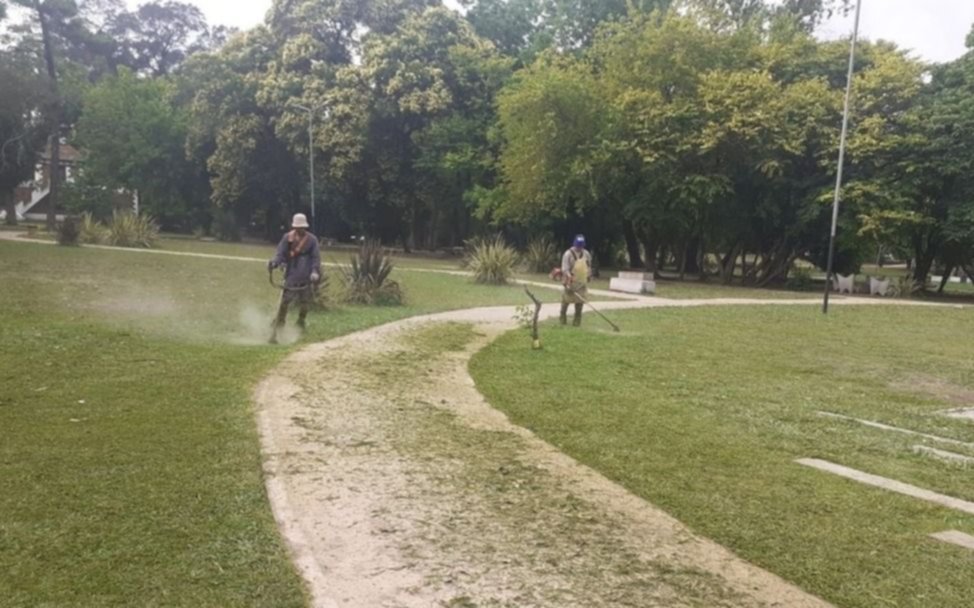 Erradicación de microbasurales
