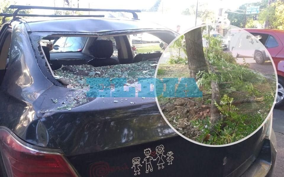 Una familia al borde de la tragedia: una rama les aplastó el auto en un semáforo