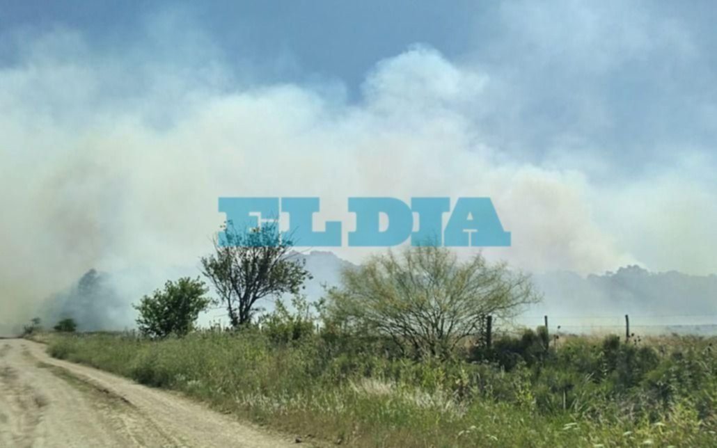 Etcheverry: enormes columnas de humo en Ruta 2 y gran cantidad de hectáreas afectadas por incendio