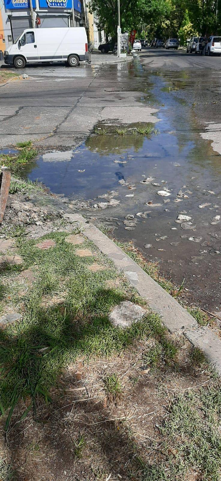 Denuncian el desborde de una cámara de las cloacas