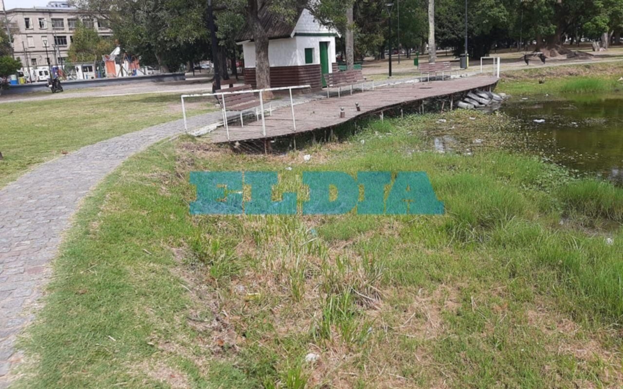 Parque Saveedra, la laguna que se convirtió en charco: vecinos desperados quieren juntar una "vaquita" para salvarla