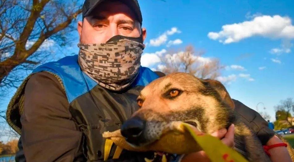 ¿Metía el perro?: un adiestrador en la mira acusado de plantar pruebas