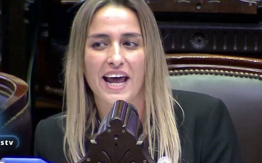 Traspaso de mando: diputados del PRO presentaron una ley para regularlo