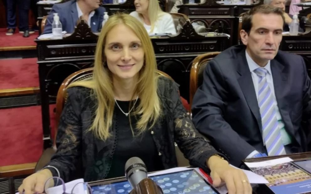 "Pensé que había terminado mi tarea", dijo la diputada ausente por haber viajado a Disney