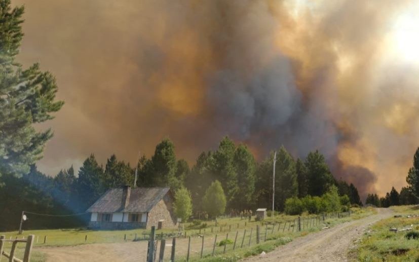 Más De 3000 Hectáreas De Bosque Afectadas Por Incendio Forestal En Neuquén