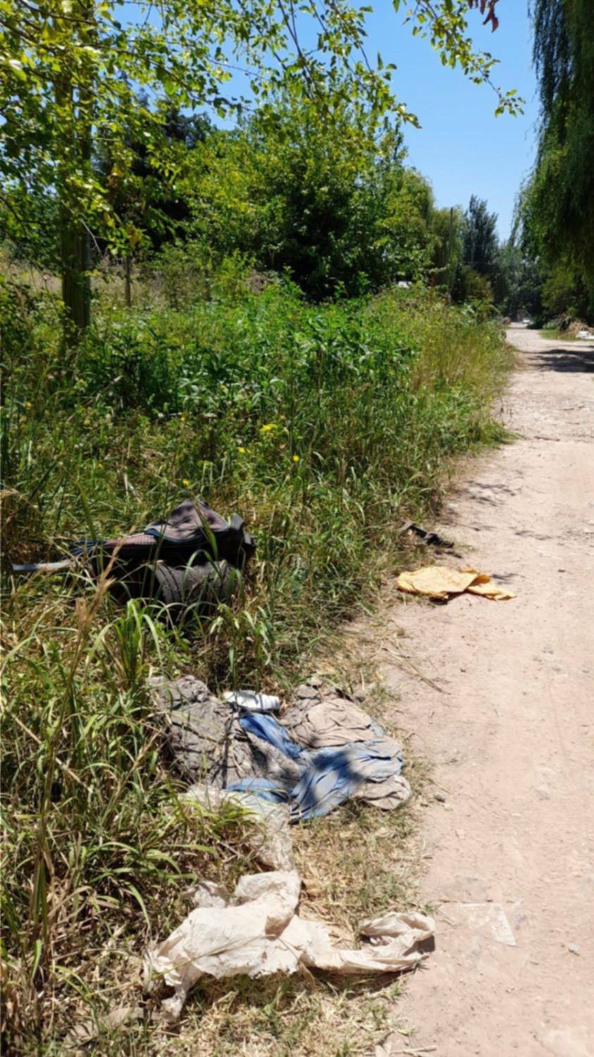 City Bell: un terreno baldío genera mugre y aparecen ratas en las casas de los vecinos