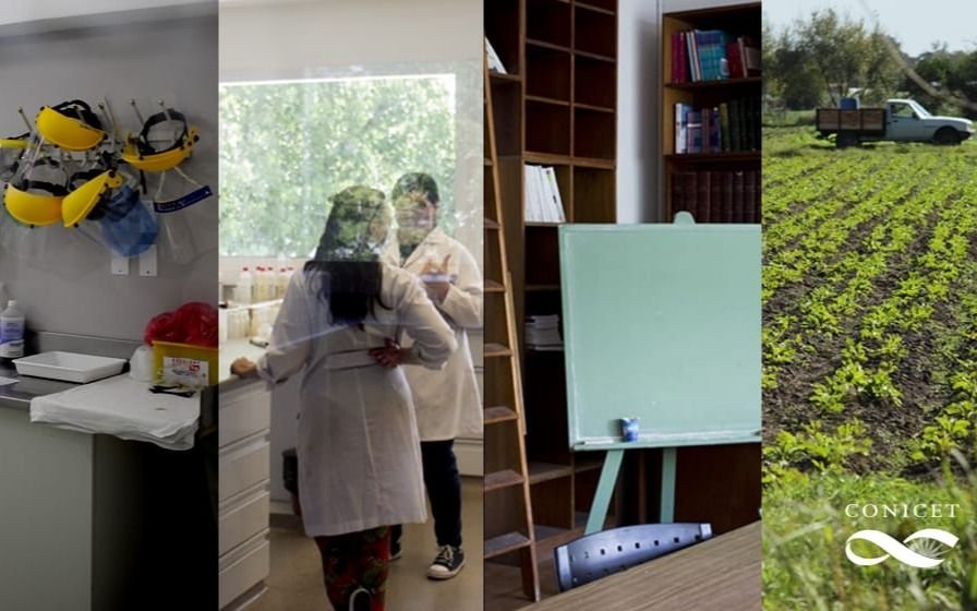 Junto a universidades nacionales, el CONICET destinará cerca de $30 millones para financiar proyectos de investigación con impacto social