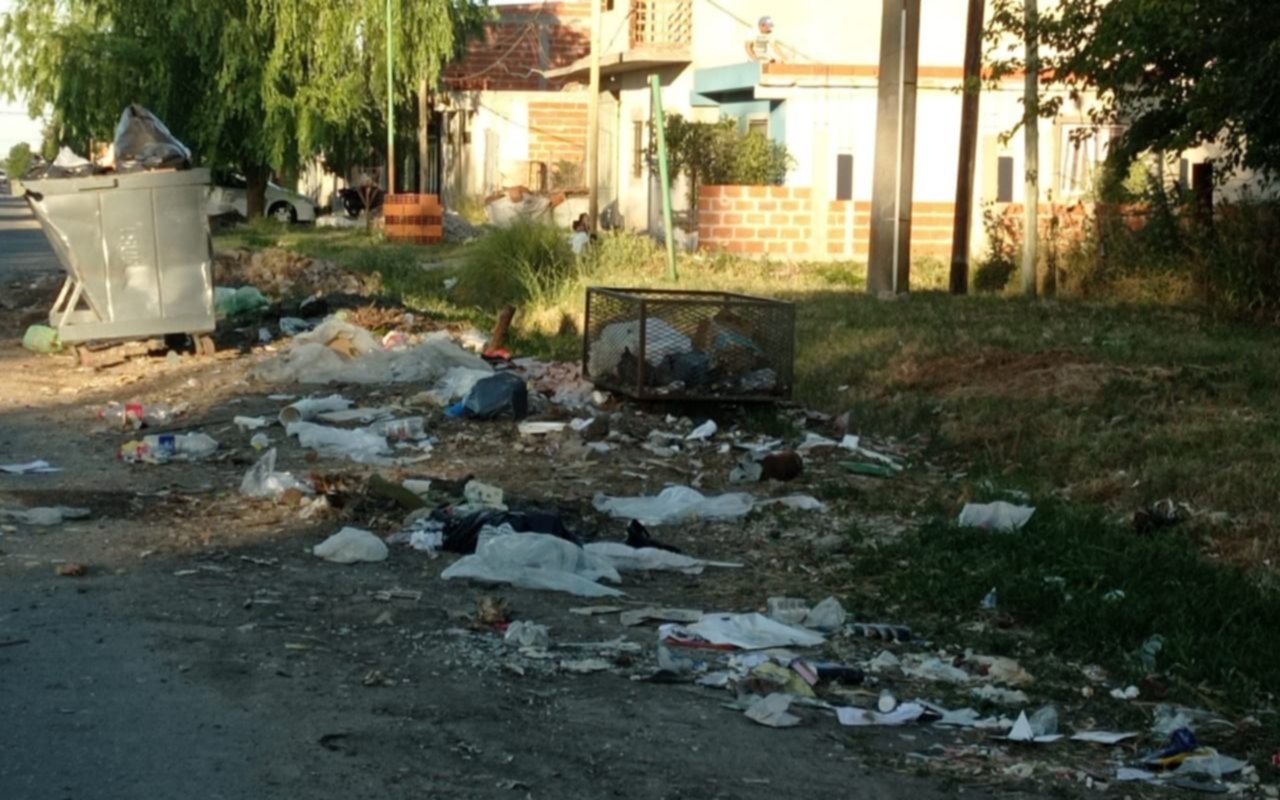 Basural y ratas, un drama que viven los vecinos de 38 y 153