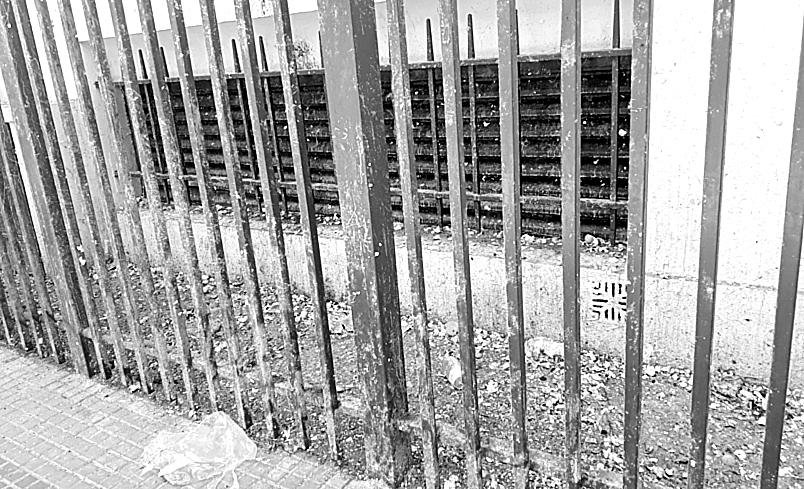 Un basural crónico en la fachada de Derecho