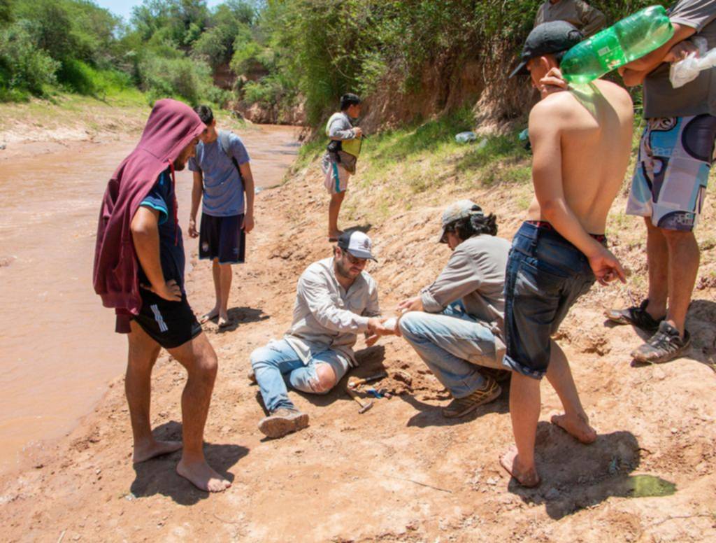 Gliptodontes: anuncian un hallazgo múltiple