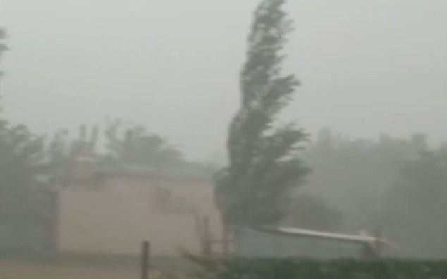 Barrio por barrio, cuánto llovió en La Plata: así sigue el clima este jueves
