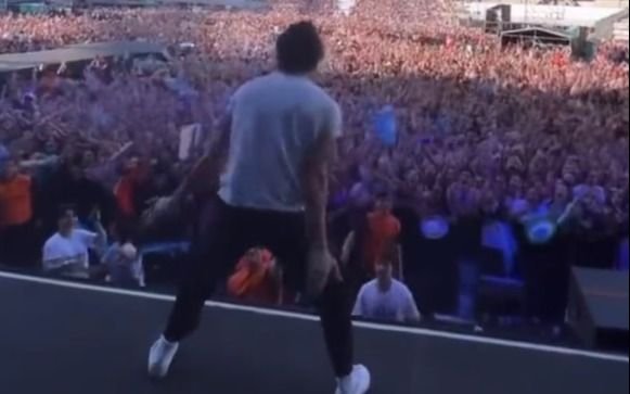 VIDEO. Harry Styles salió a festejar al escenario del Monumental con los hinchas argentinos