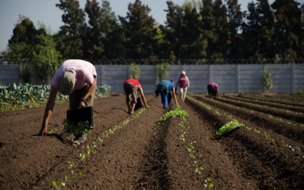 Presentaron línea de financiamiento específica para Mujeres de la Agricultura Familiar Bonaerense