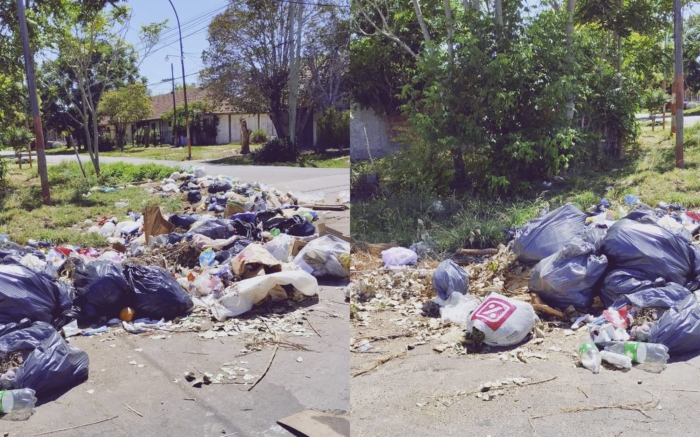Mal olor y ratas: un basural que complica la vida de los vecinos